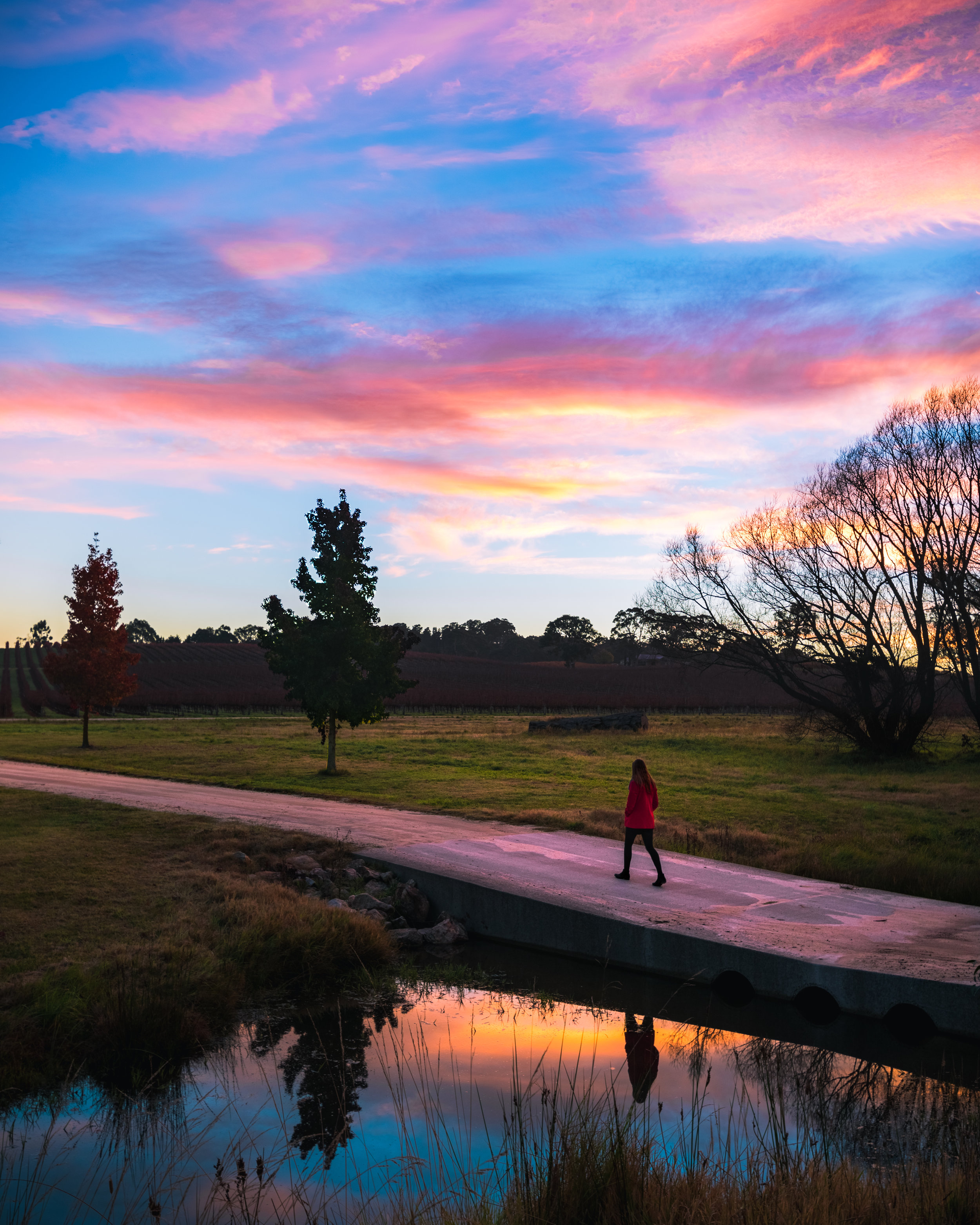 Adelaide Hills Sunrise.jpg