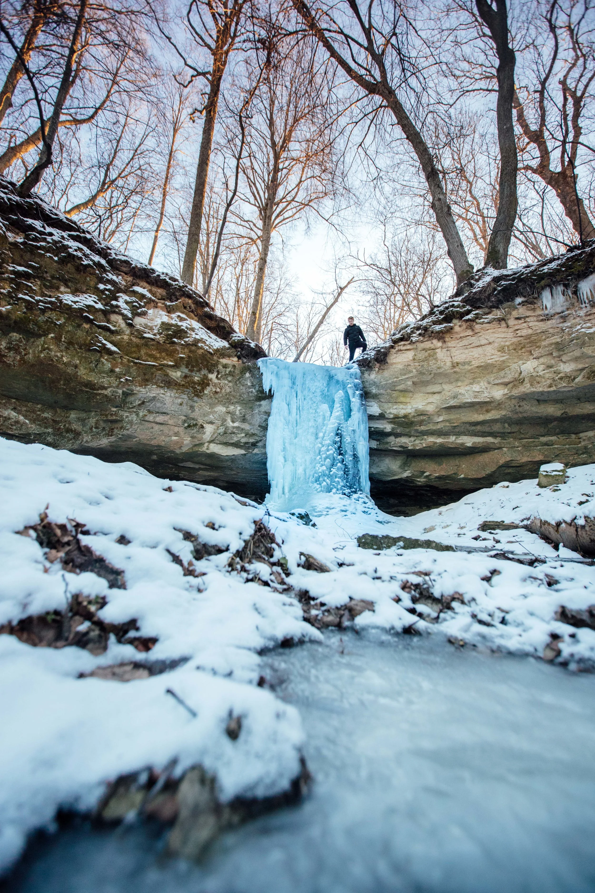 Phone Background | Estonia