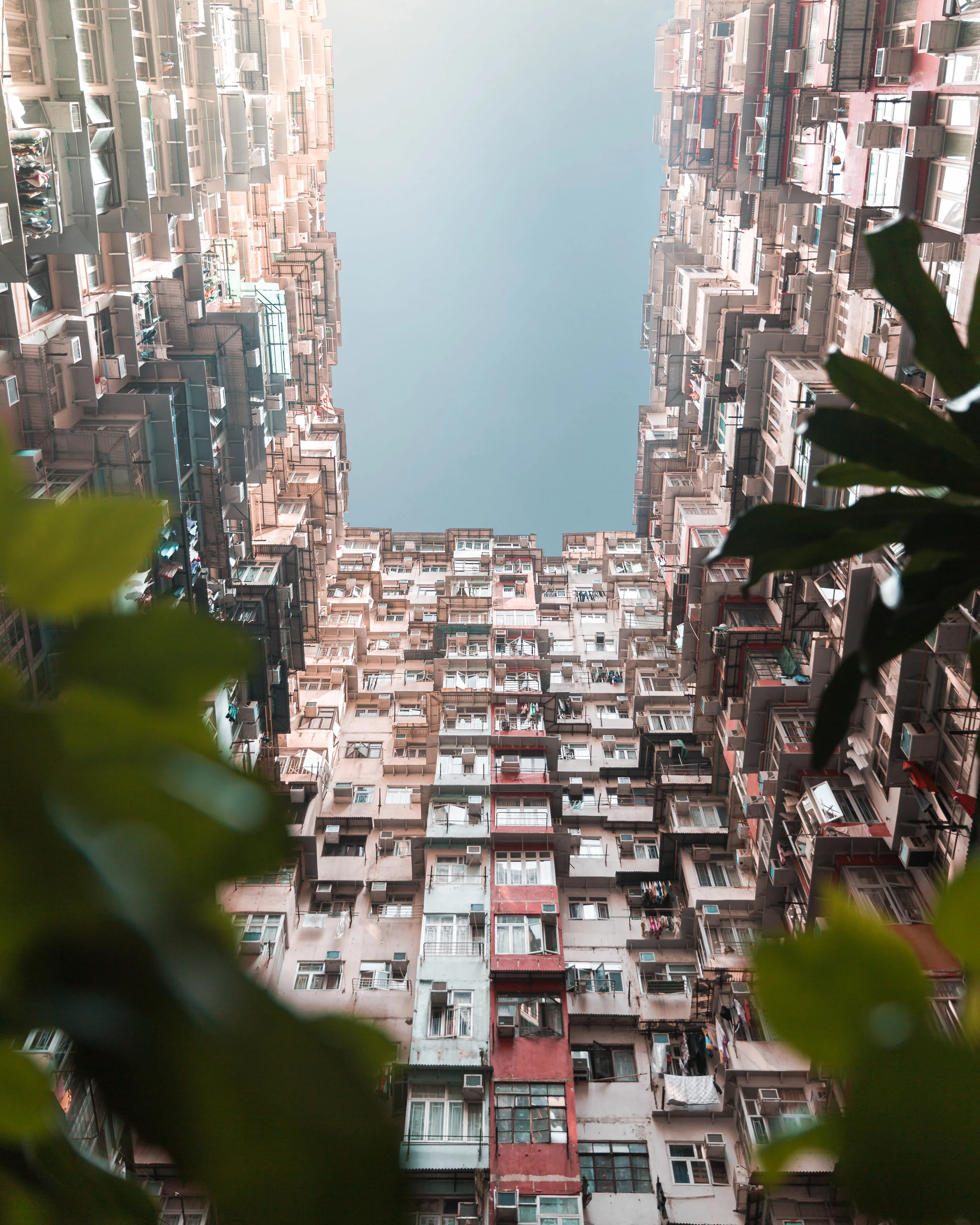 Phone Background | Hong Kong