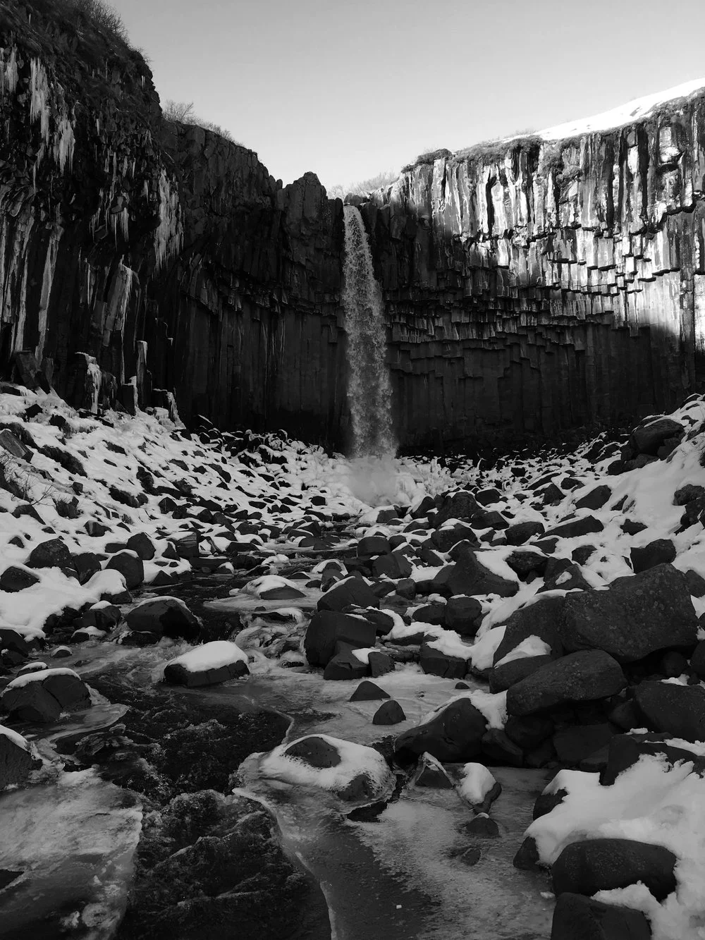 Tip: Consider different editing styles, as well. I really like this shot in Black and White. Edited in Camera Roll. No app or programs used.