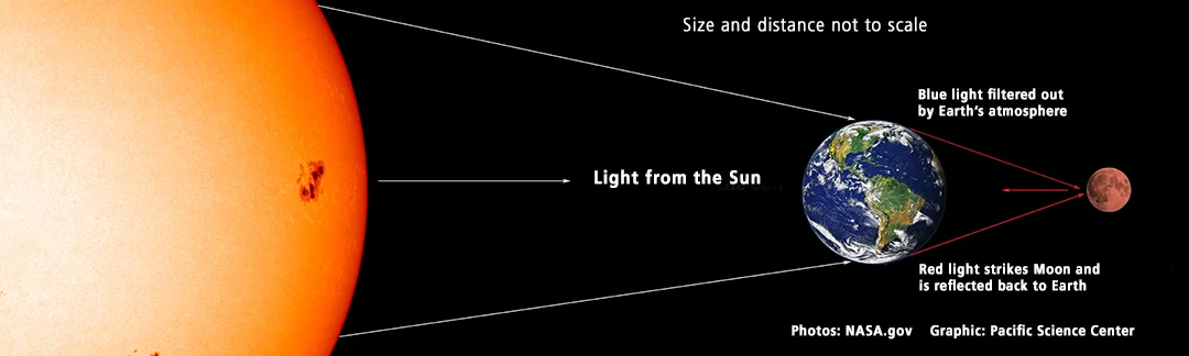 Source: www.pacificsciencecenter.org