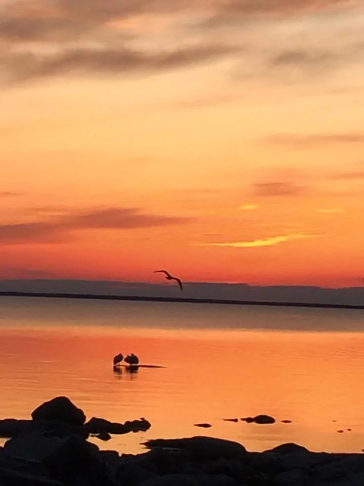 Sunset.jpg