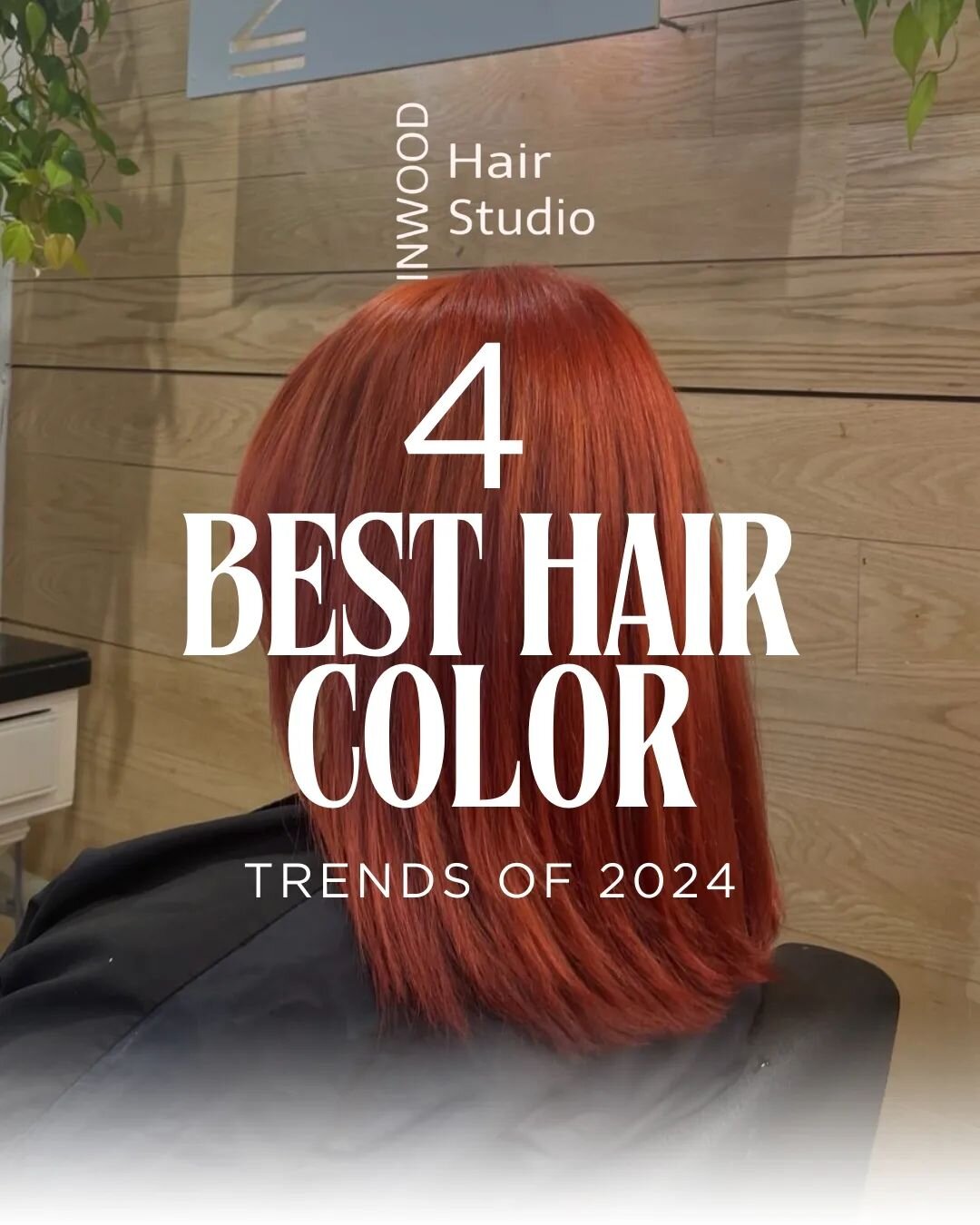 Discover the 4 viral hair colors in 2024. From vibrant tones to subtle shades, each one designed to enhance your unique beauty. Transform your look and add a fresh touch to your style. ✨

Descubre los 4 colores de cabello virales en el 2024. Desde to
