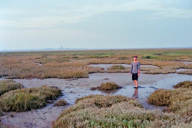 Picking very late Samphire