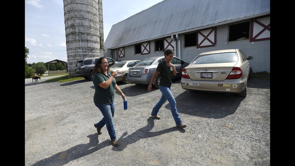  Executive Director Christine Hajek, left, and Director of Development Dawnn Double make their way through the grounds at Gentle Giants Draft Horse Rescue in Mount Airy Friday, July 13, 2018. 