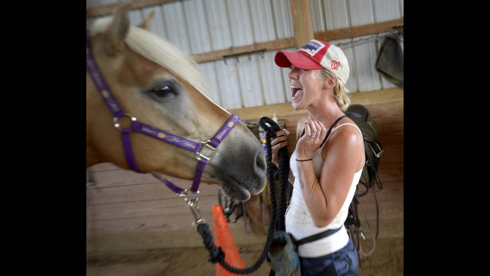  Lauren Bognovitz works with Pandora, female Haflinger, during a training session at Gentle Giants Draft Horse Rescue in Mount Airy Friday, July 13, 2018. 