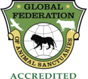 Accredited.png