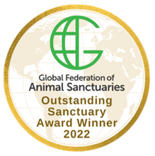 GFAS award.png