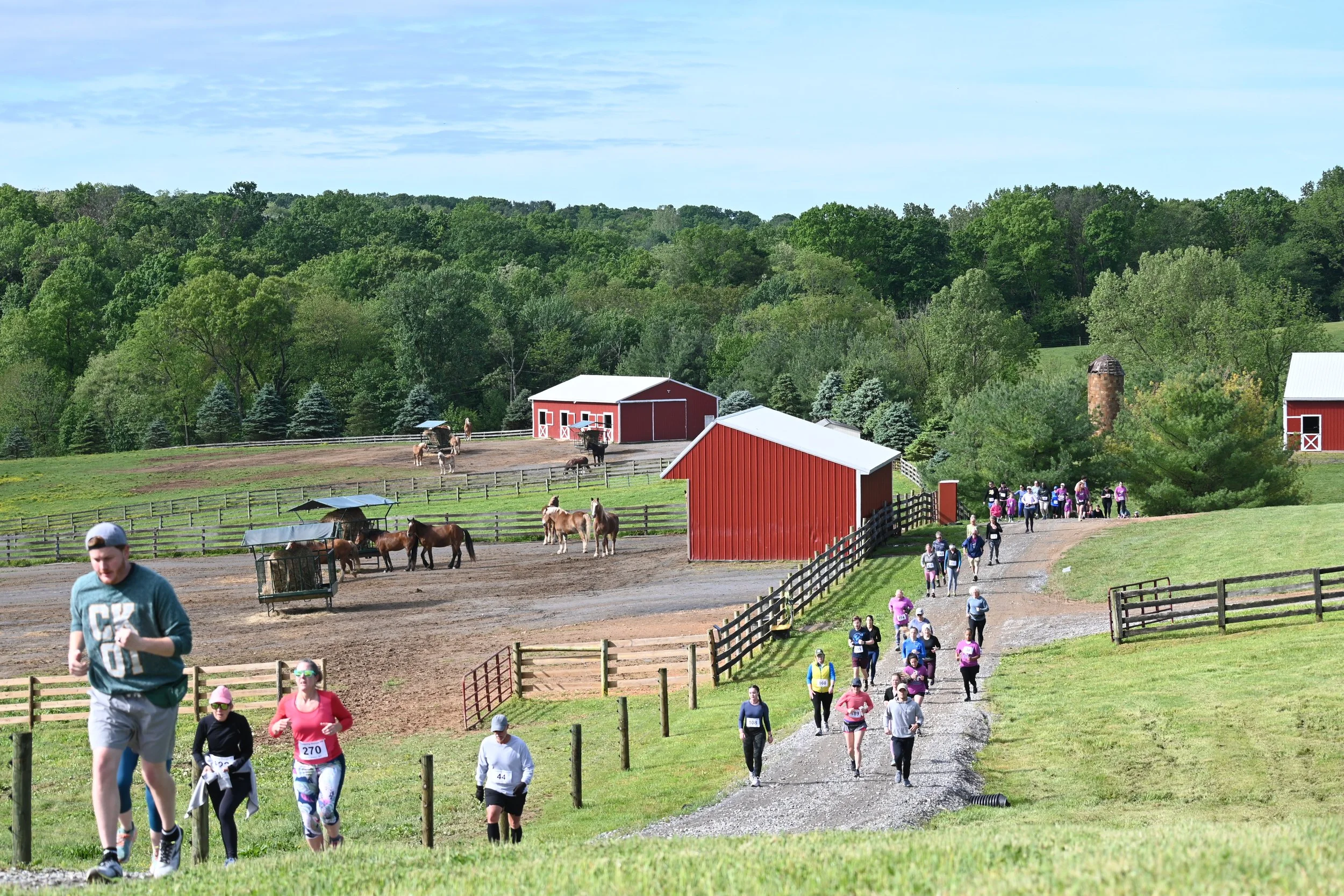 Thundering Hooves 5K / 1 Mile Trail Run