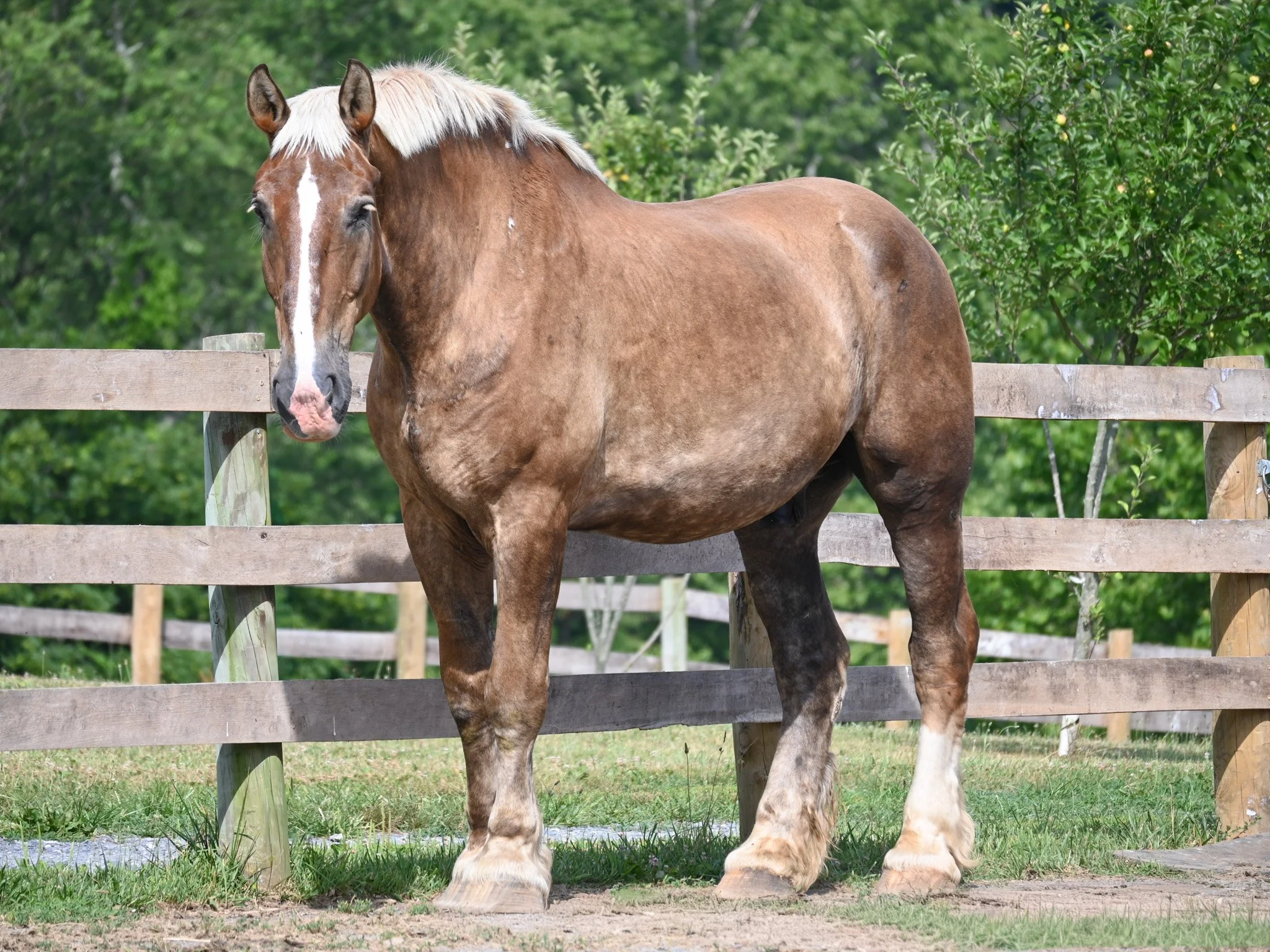 Farley - IN REHAB