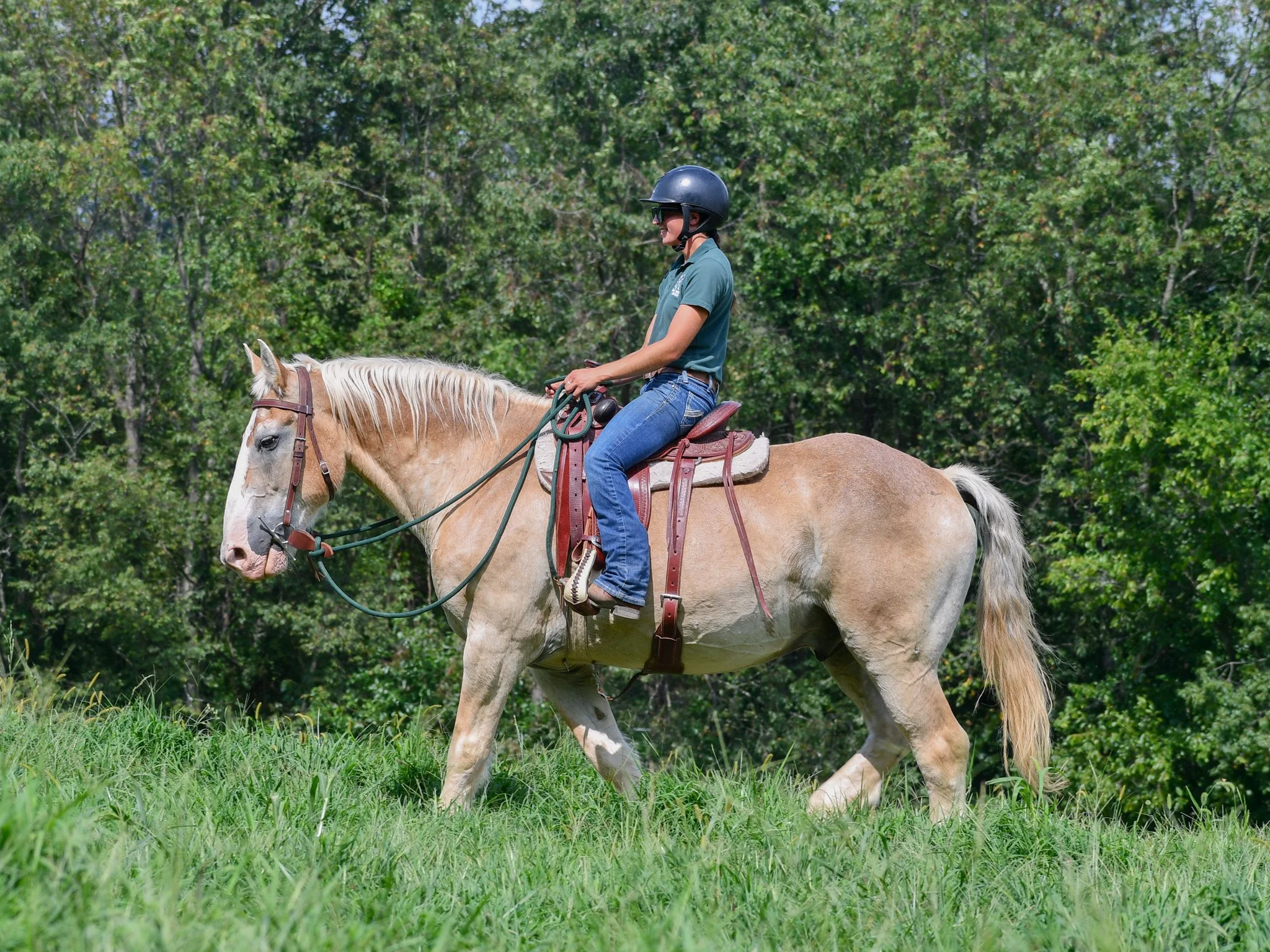 Stetson