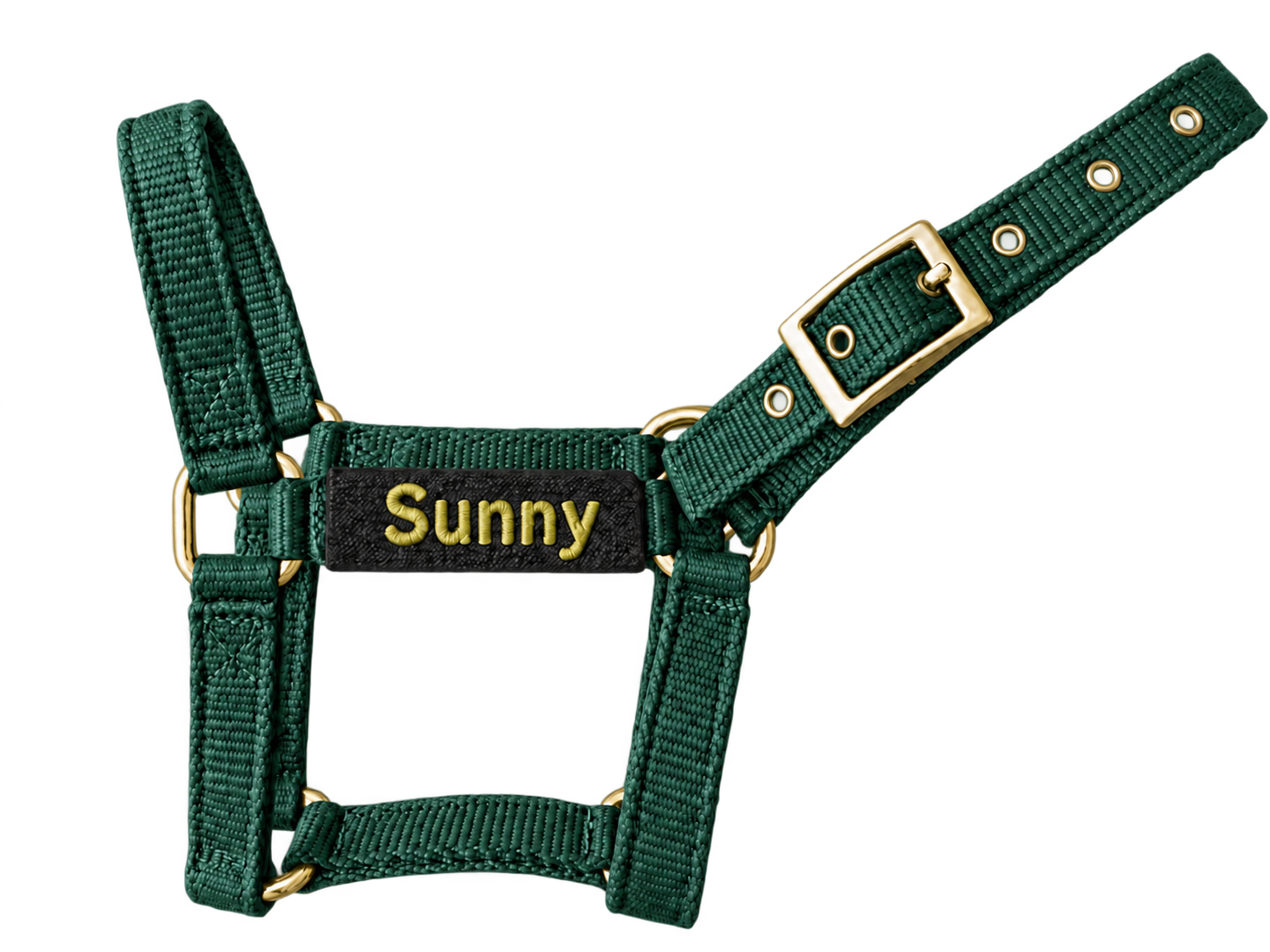 Forest Green Halter with Sunny Patch.png