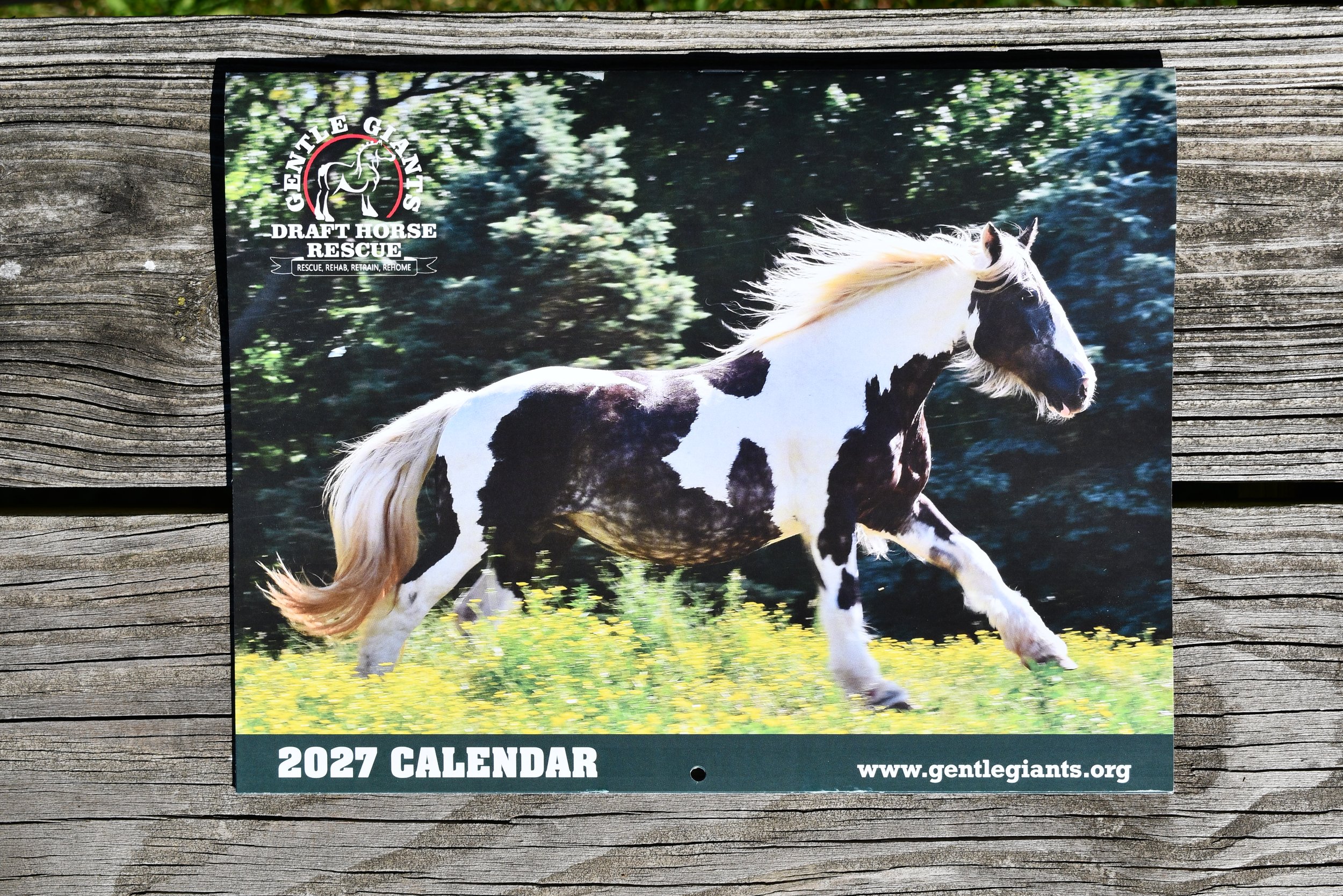 2027 Gentle Giants Calendar