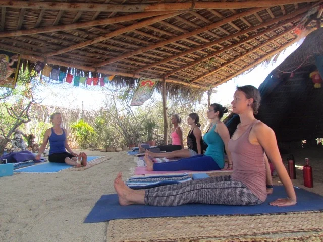 yogateach.jpg