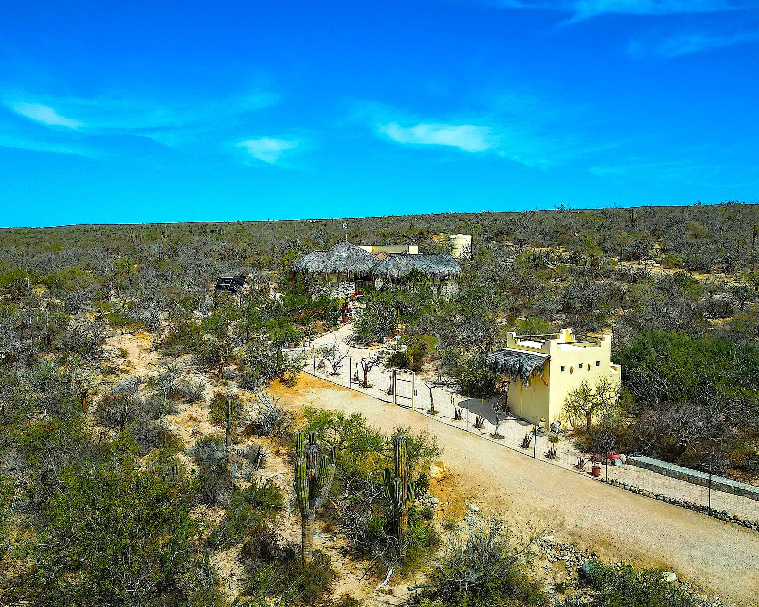 A desert scene with a clear blue sky, sparse bushes and cacti, and a small compound with a yellow building and thatched-roof structures surrounded by a metal fence.