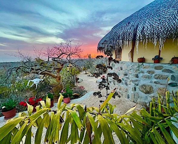 A tropical garden scene at sunset with plants, potted flowers, a stone pathway, and a thatched-roof cottage.