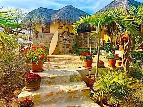 A tropical garden leading to a thatched-roof cottage with potted plants and colorful flowers.