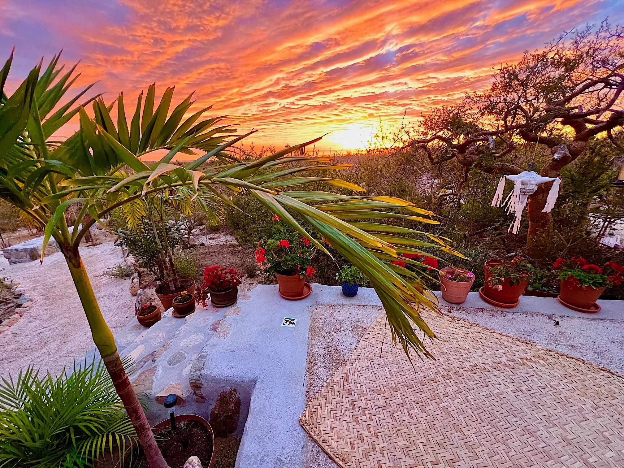 A vibrant sunset over a desert landscape with potted plants and a woven rug on a white stone surface.