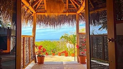 View from a tropical open-air hut with a thatched roof, overlooking lush green foliage and the ocean in the background, adorned with potted plants and flowers.