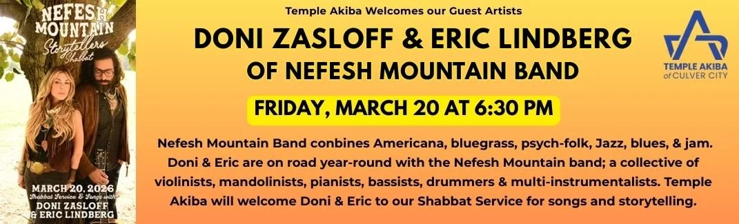 Nefesh Mountain - website.jpg