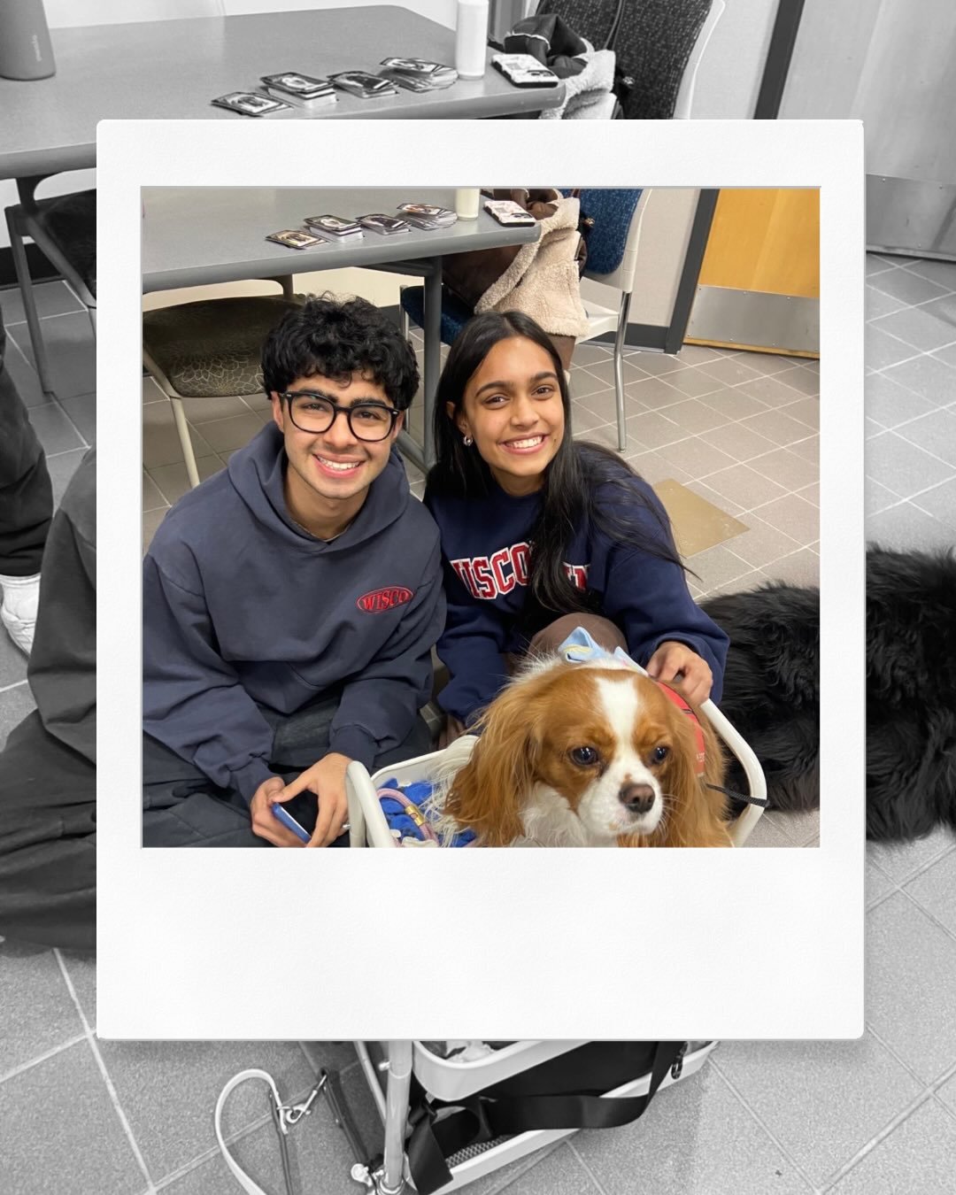 We had a great time at our DSPets event last night! Our brothers got to hang out with the best therapy dogs and make dog toys out of old t-shirts. 

Thank you to Go Team Therapy Dogs Madison for helping to organize one of our favorite community servi