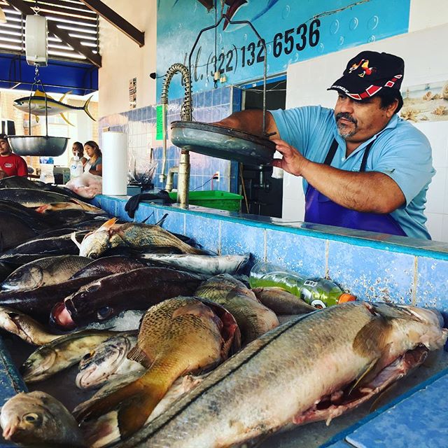 Saturday morning fish market run! Fire up the bbq! // DM for booking inquiries ✨#casanicoya