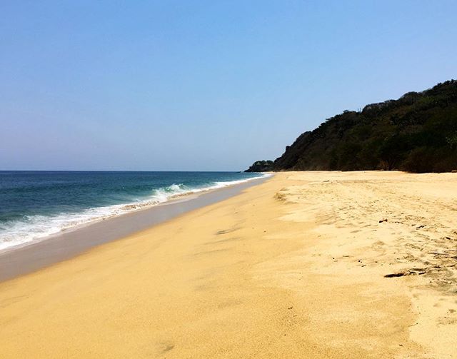 Mondays are for solitary beach walks. I've rarely seen another person on this lovely beach only a 15 minute jungle walk from Playa Sayulita's North End. #playamalpasos #sayulita #clothingoptional #casanicoya // DM for booking inquiries ✨