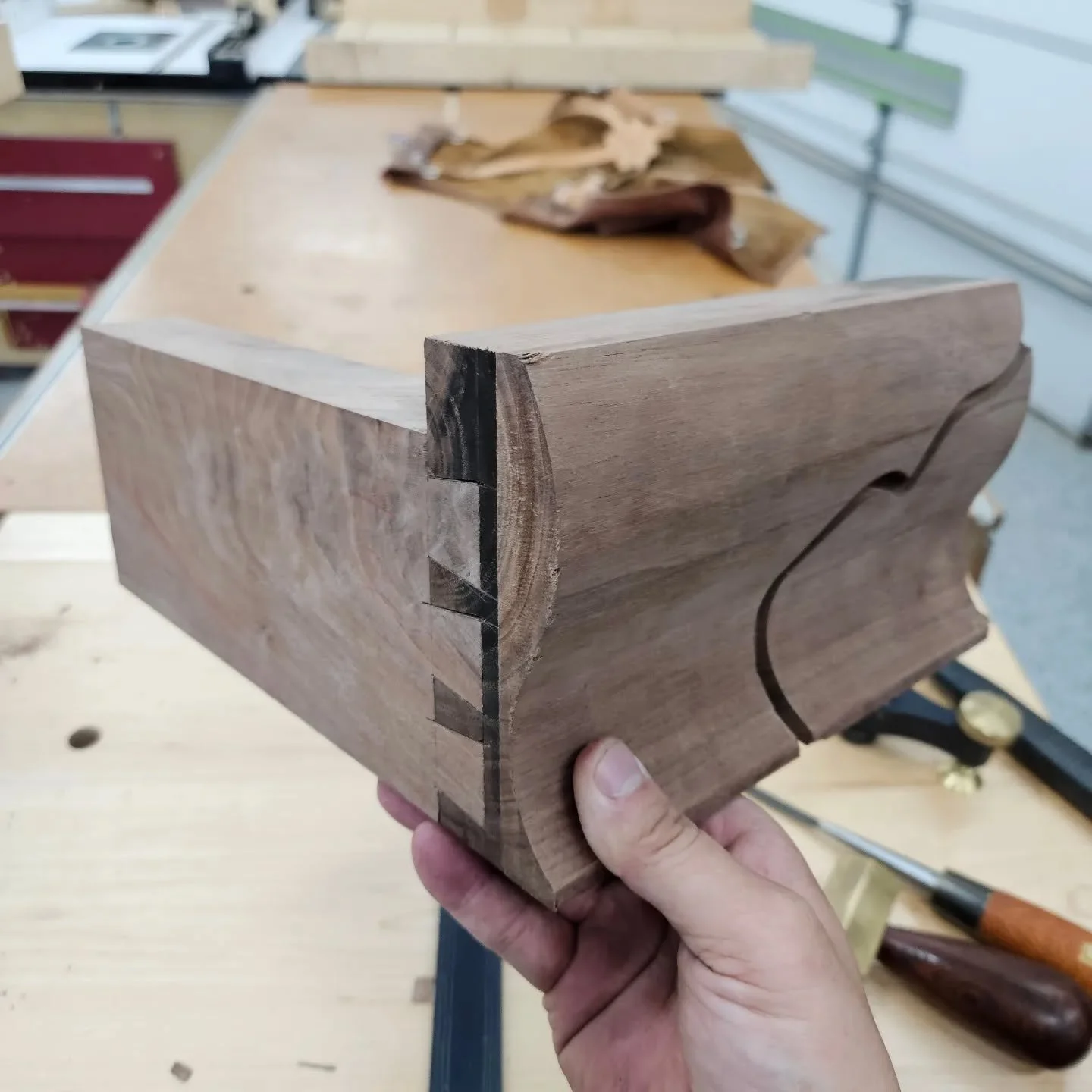 I had a fun afternoon cutting half blind dovetails on the back pair of ogee bracket feet. 
#halfblinddovetails #bracketfeet #ogee #handtools #dovetails #periodfurniture #alabamawoodworker #huntsvillealabama #madisonalabama #finefurniture #woodworking