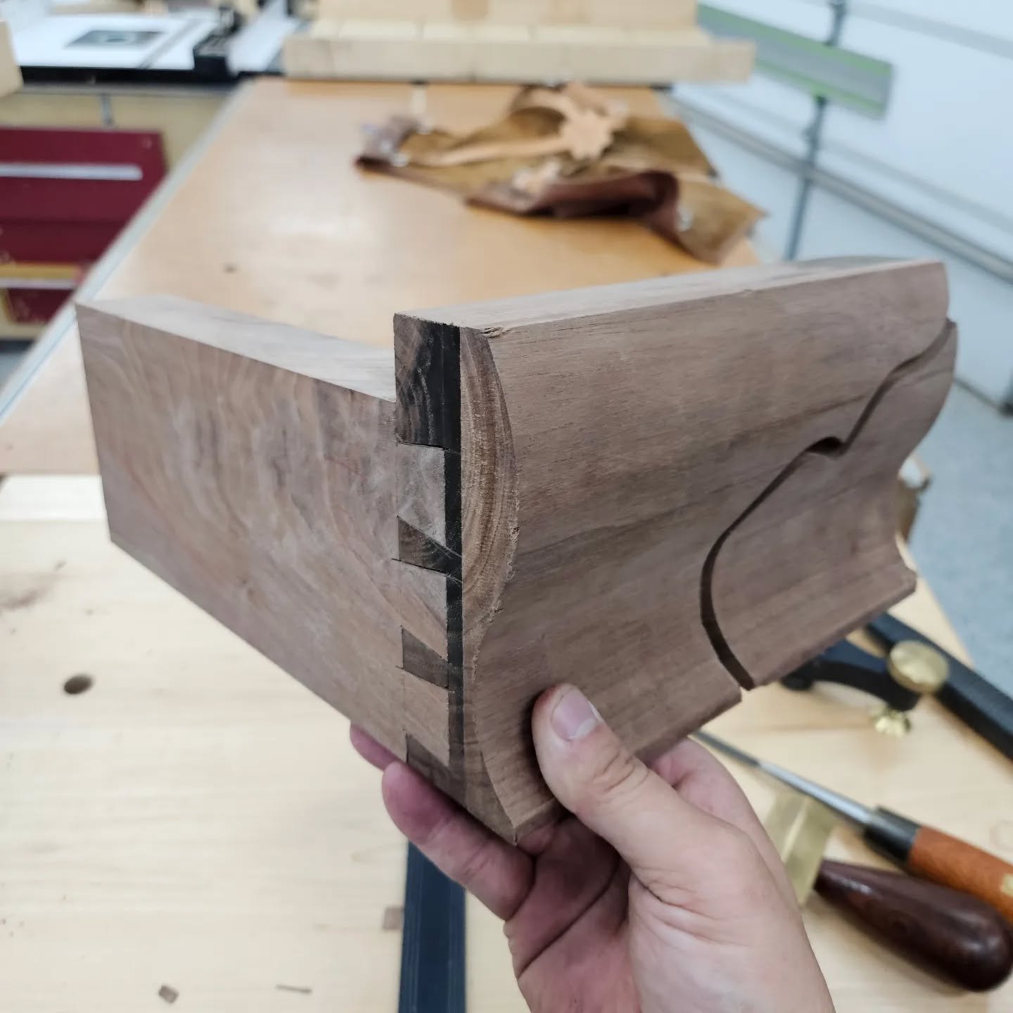 I had a fun afternoon cutting half blind dovetails on the back pair of ogee bracket feet. 
#halfblinddovetails #bracketfeet #ogee #handtools #dovetails #periodfurniture #alabamawoodworker #huntsvillealabama #madisonalabama #finefurniture #woodworking