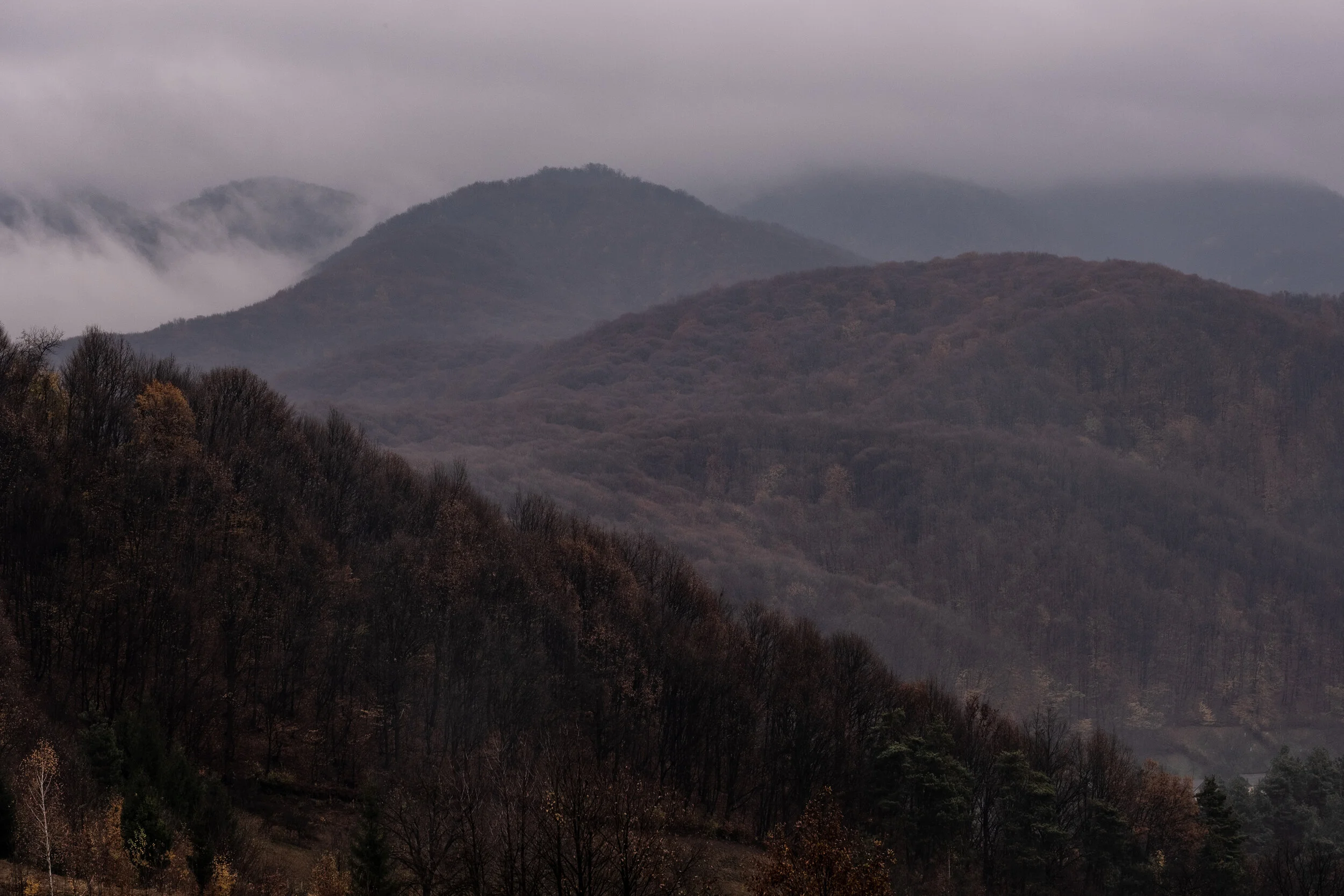 DSCF1165.JPG