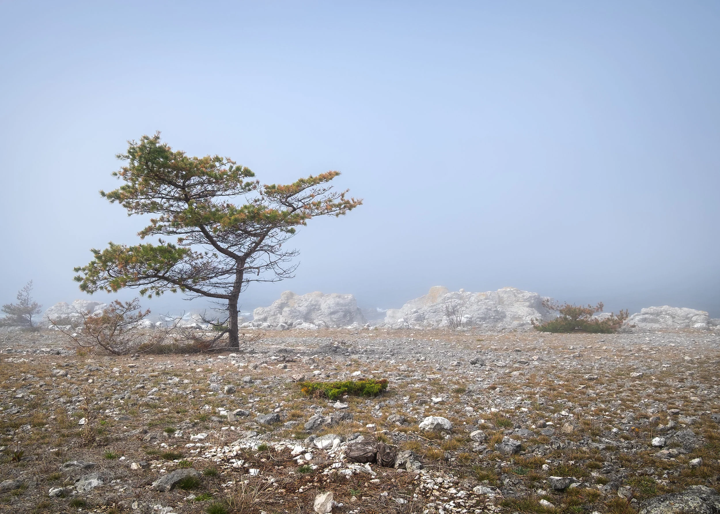 Fog rolling in over Digerhuvud nature reserve