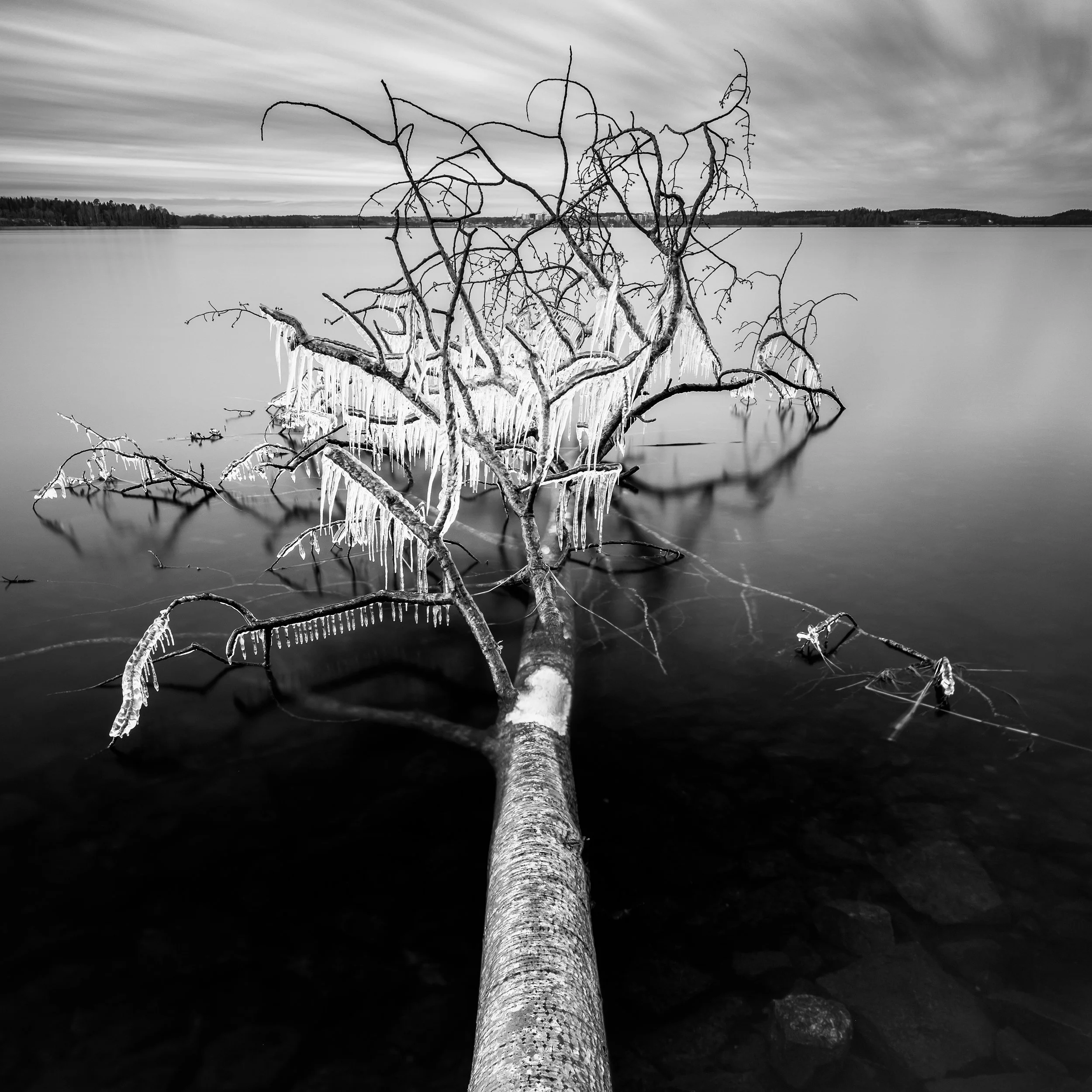 Görväln - 20190103 - 013 - Web.jpg