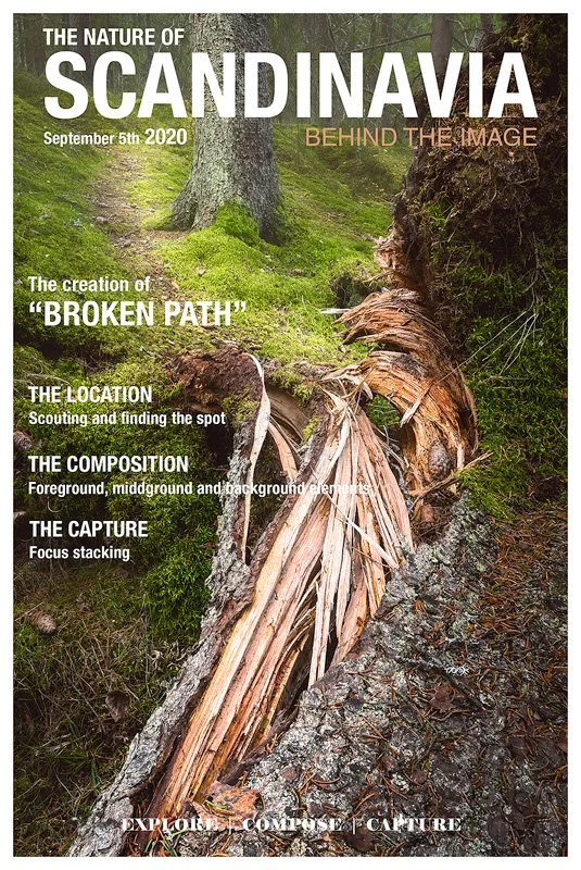 The story behind the picture "Broken path"
