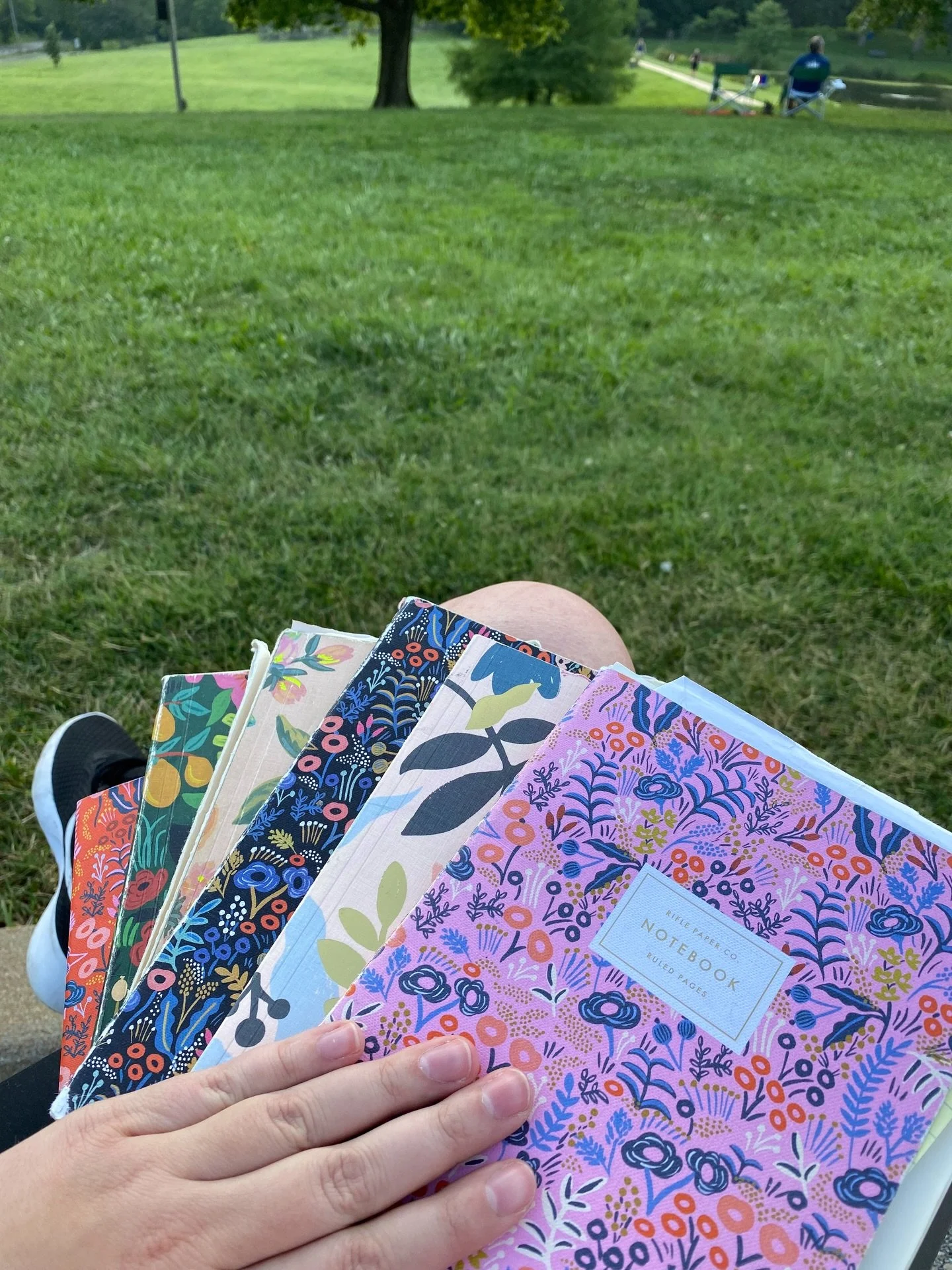 Normal people leave the house with keys, wallet, phone. I don&rsquo;t leave the house without my emotional support notebook. I could put notes in my phone, that would be logical. But I am a paper person! ✏️ 📒📓📔📝

I need pages and pretty pens. The