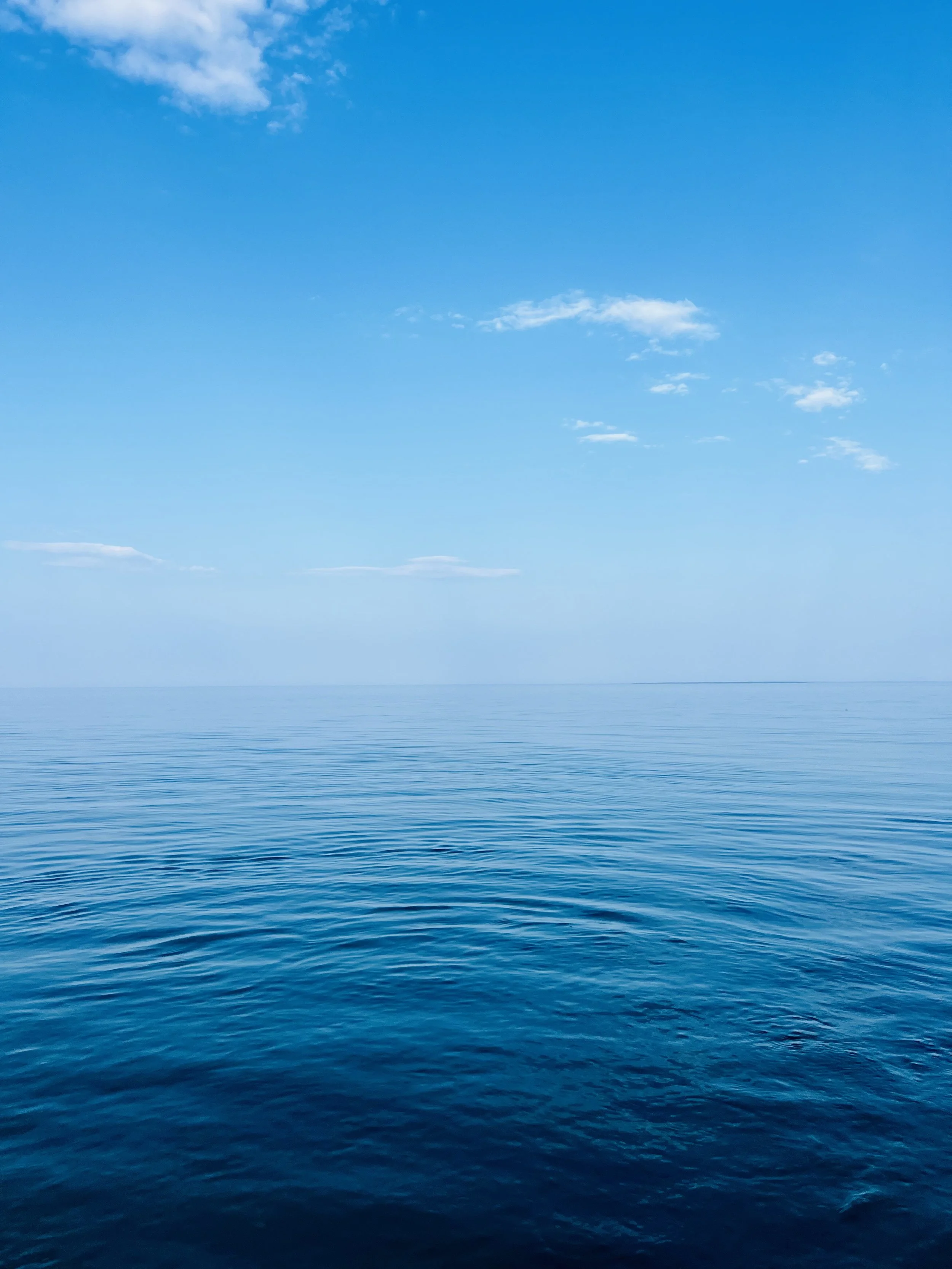 a clam blue water day