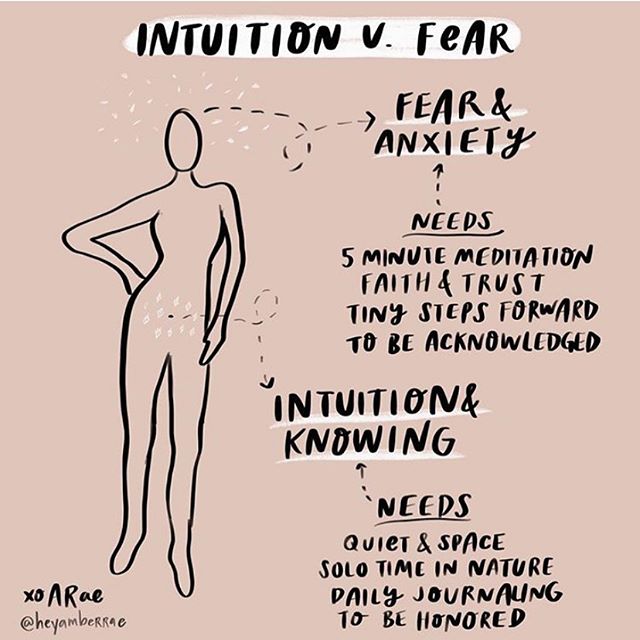 F E A R &bull; V S &bull; I N T U I T I O N
As pregnancy morphs into labour and birth, FEAR can get in the way of important INTUITION required for an efficient birth. 
Fear - the bringer of chemical changes that halt the birthing process; the muscle 