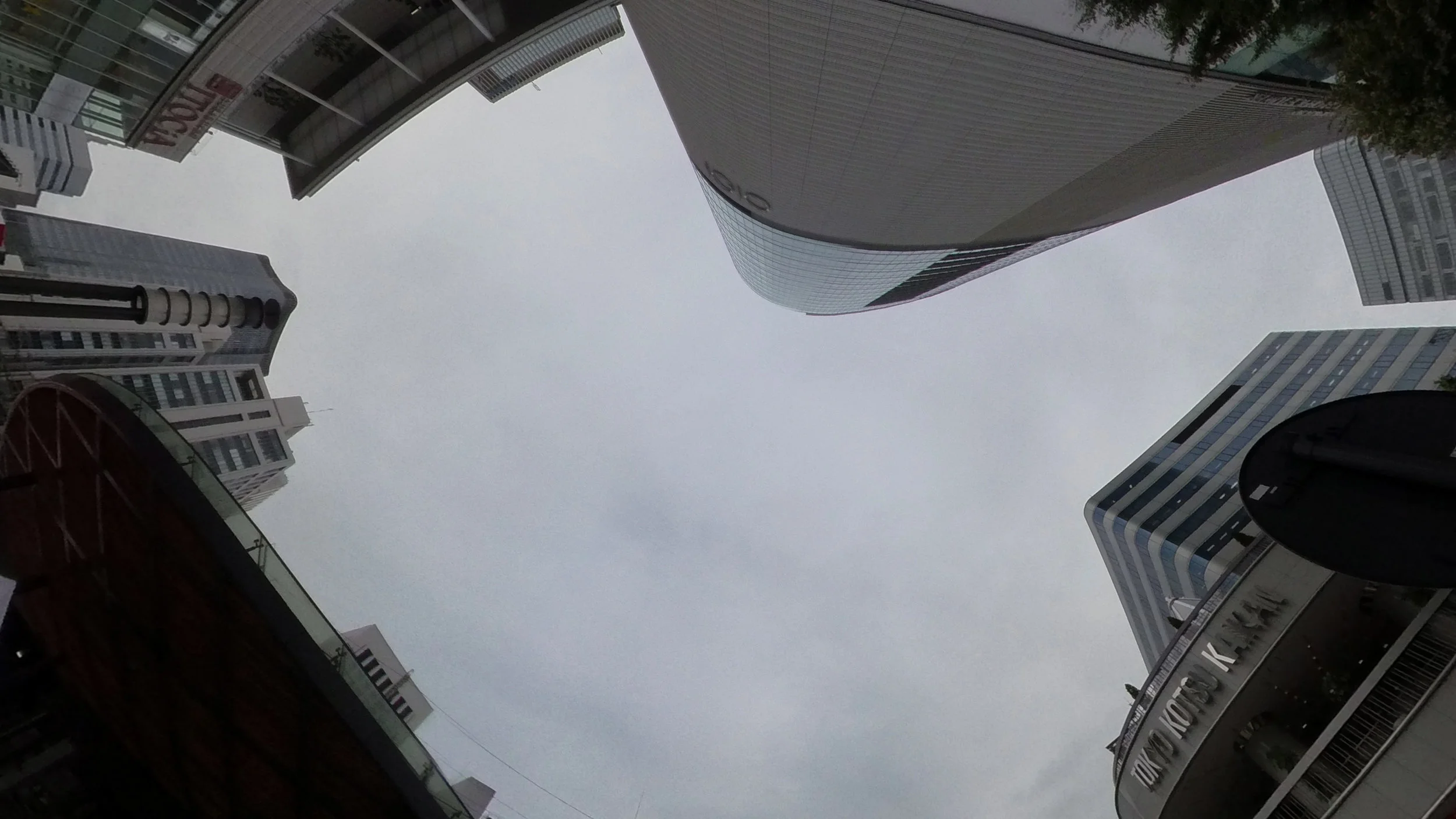 S_IMG_20181013_134846_095.jpg