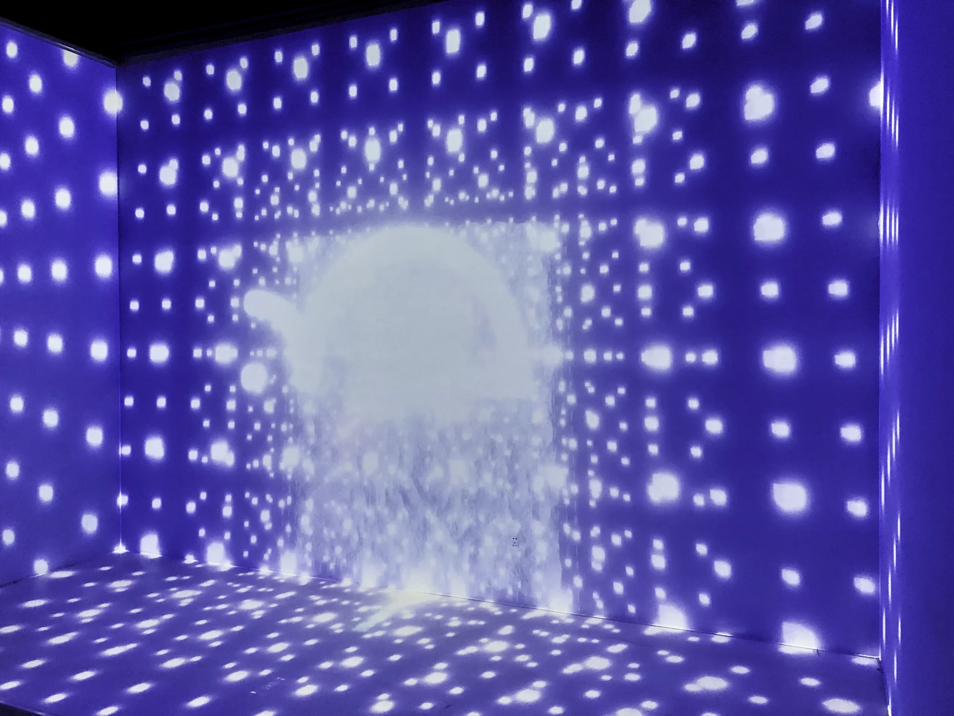 IMG_2313~photo FCOS.jpg