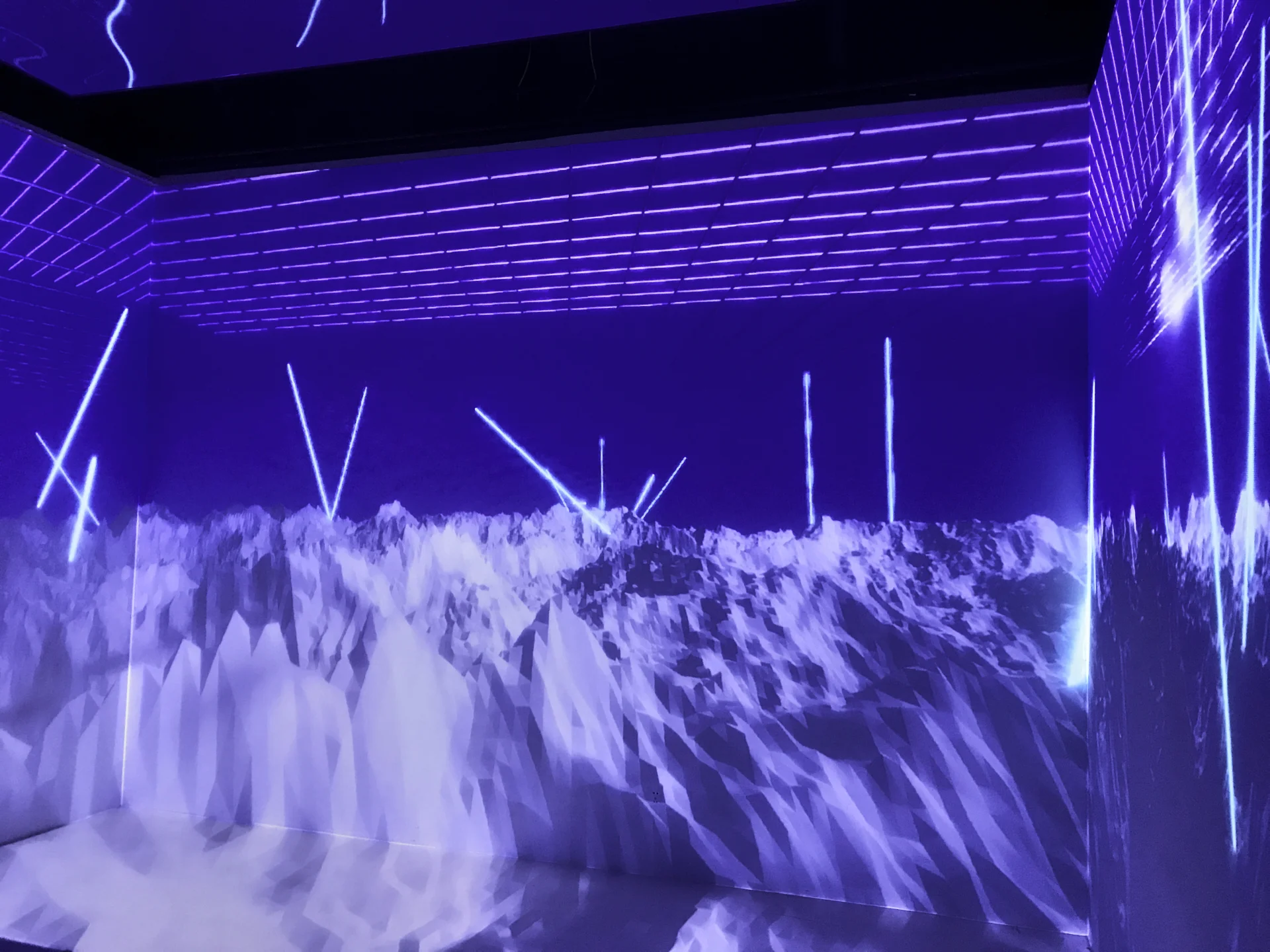 IMG_2246~photo FCOS.jpg