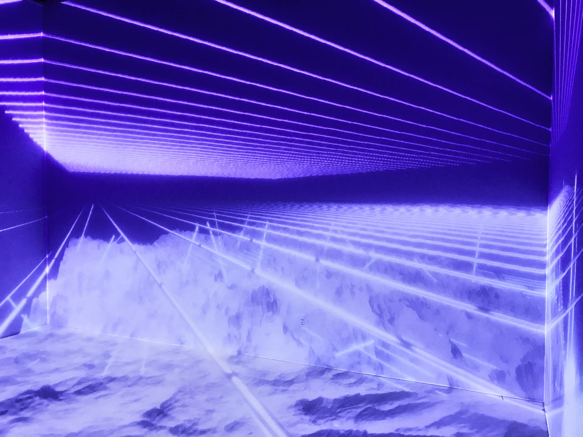 IMG_2237~photo FCOS.jpg