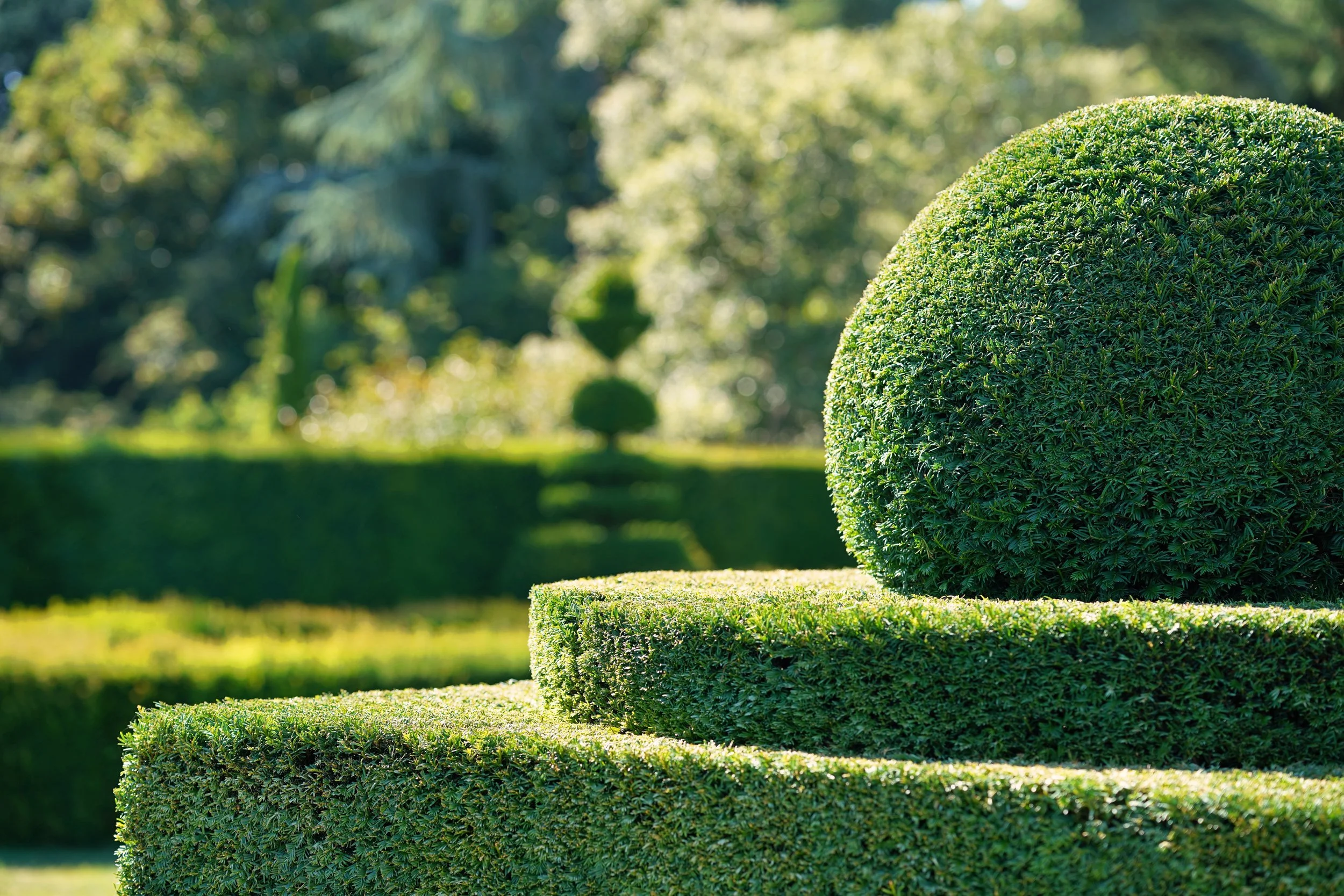 ykaiavu-garden-7460988.jpg