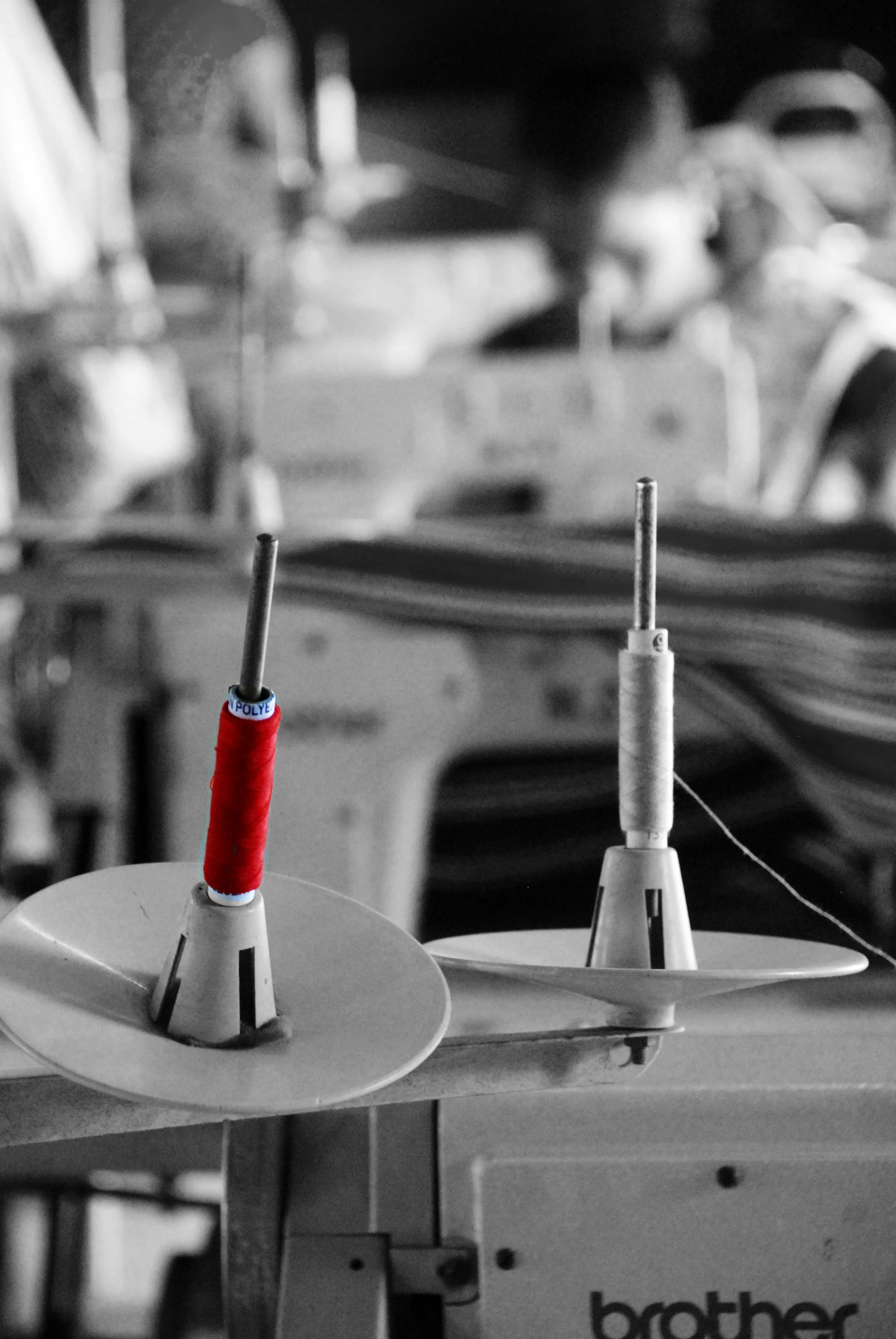 DSC_1372 copy.jpg