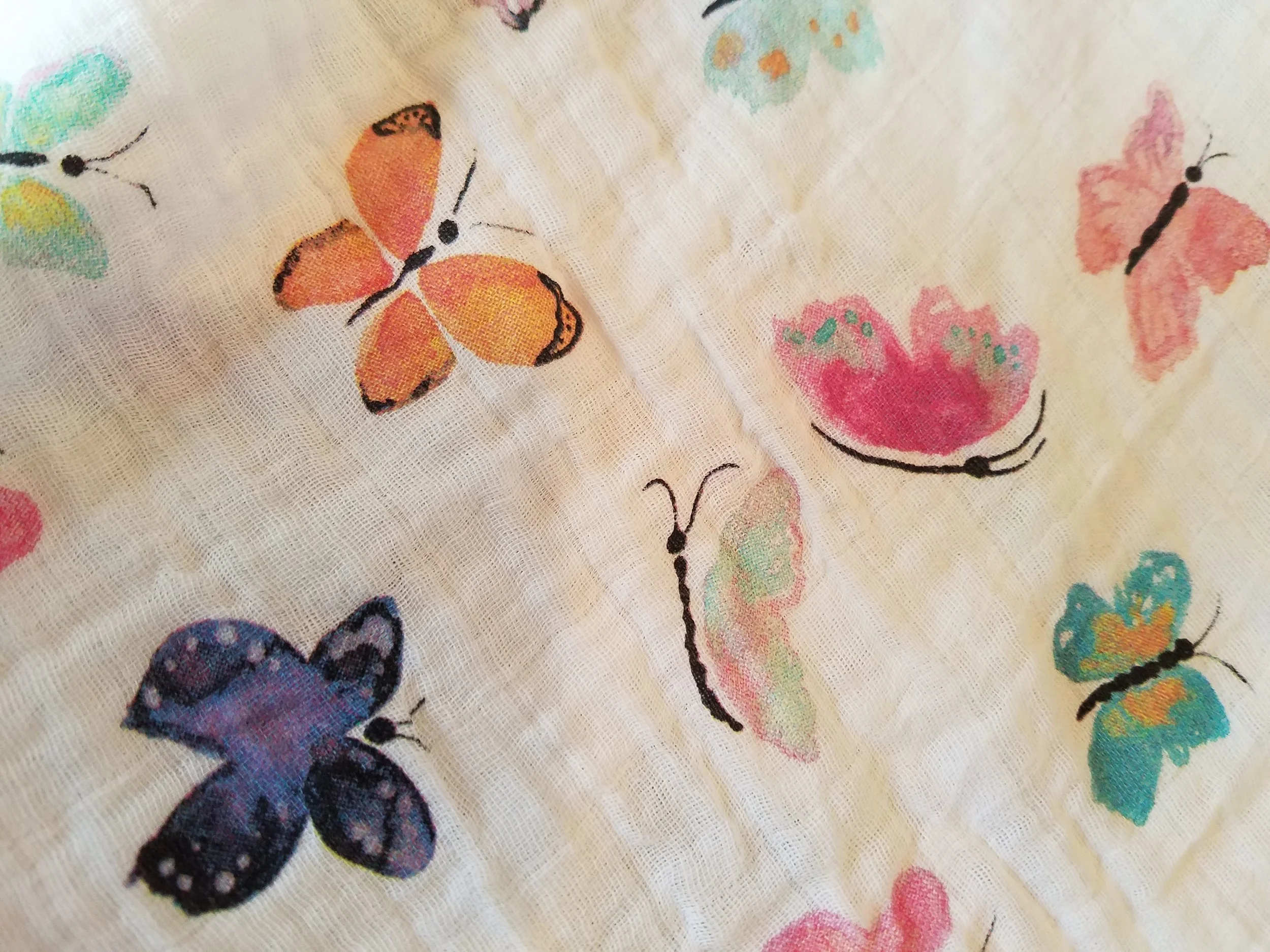butterfly1.jpg