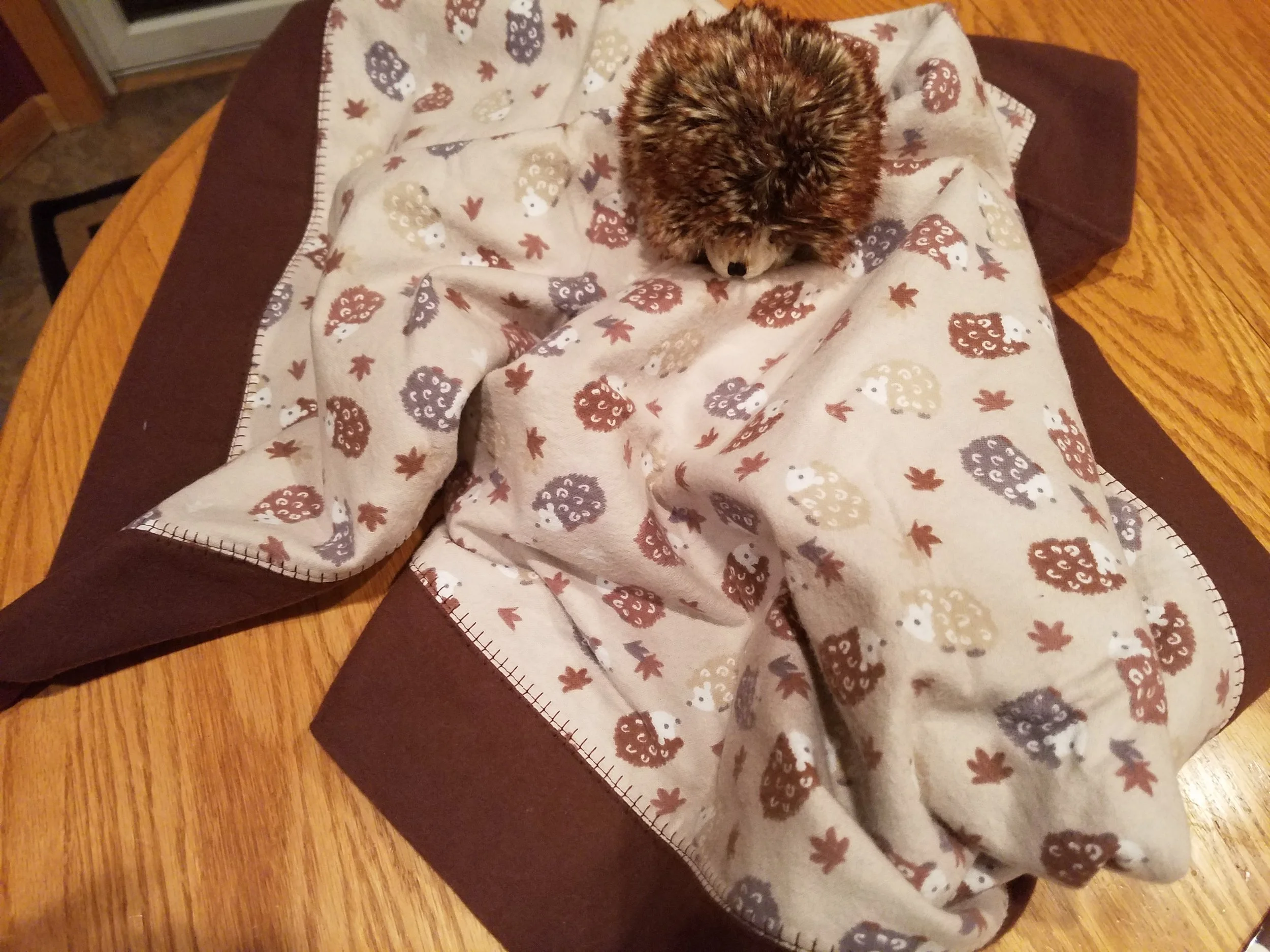 hedgehog2.jpg