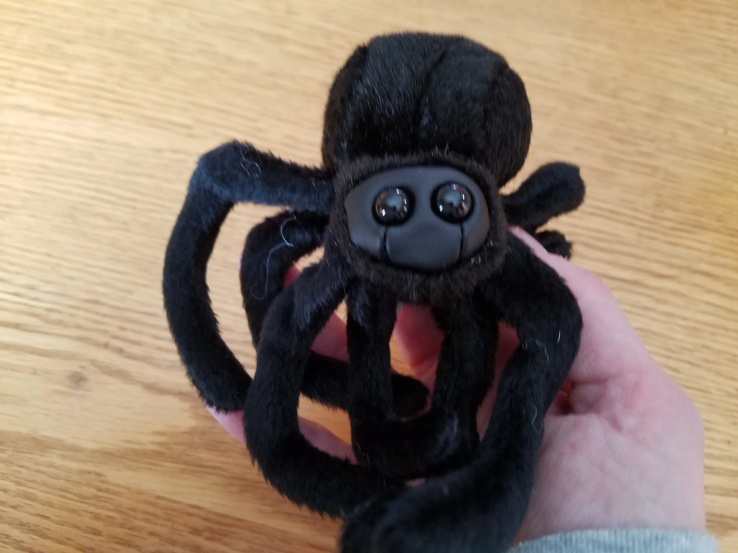 spider1.jpg