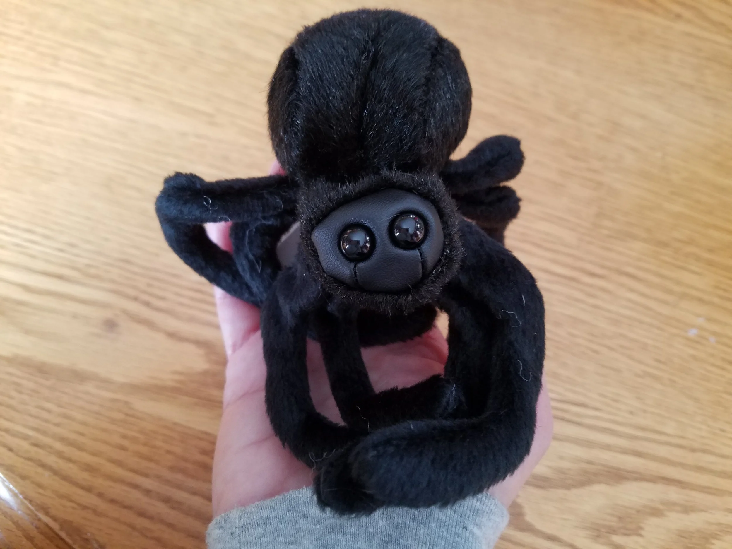 spider3.jpg