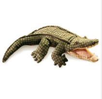 aligator.PNG