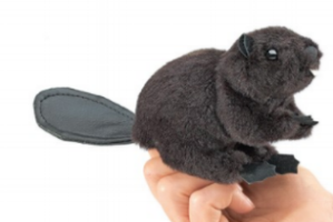 beaver.PNG