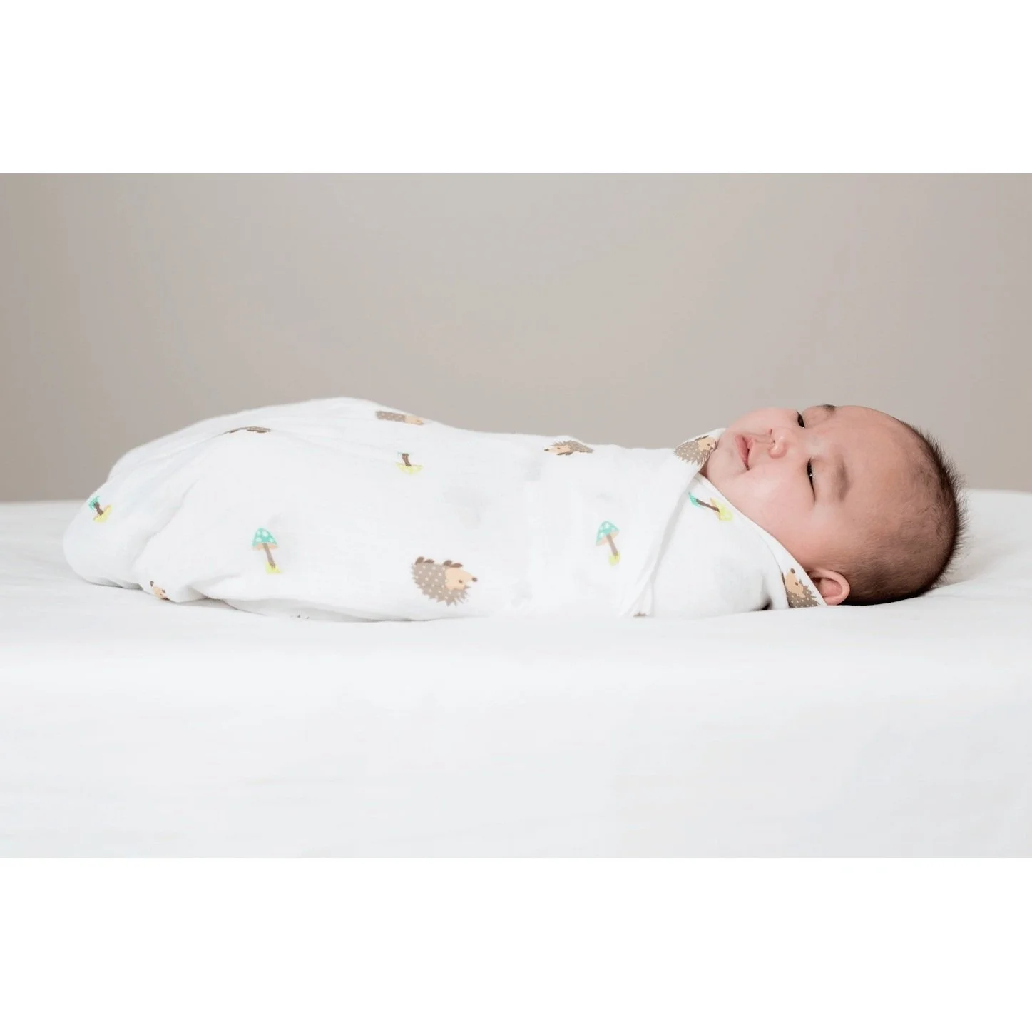 swaddle pic.jpg