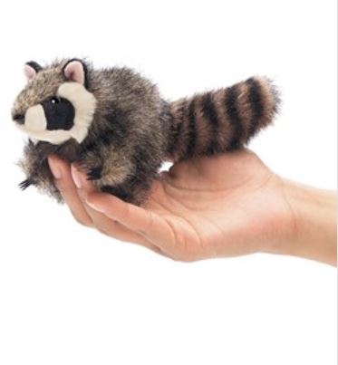 Raccoon.JPG